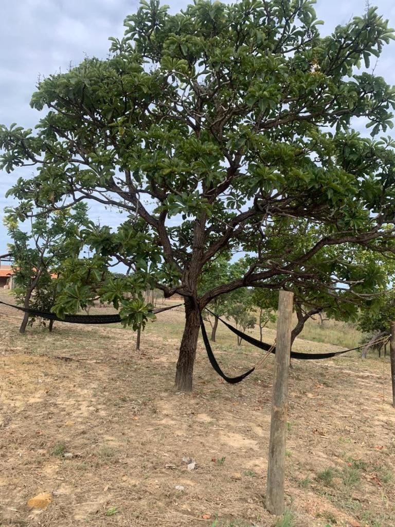 Pousada Solar Da Canastra Delfinópolis المظهر الخارجي الصورة