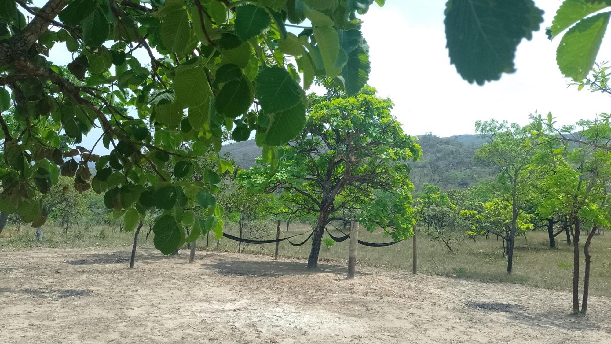 Pousada Solar Da Canastra Delfinópolis المظهر الخارجي الصورة